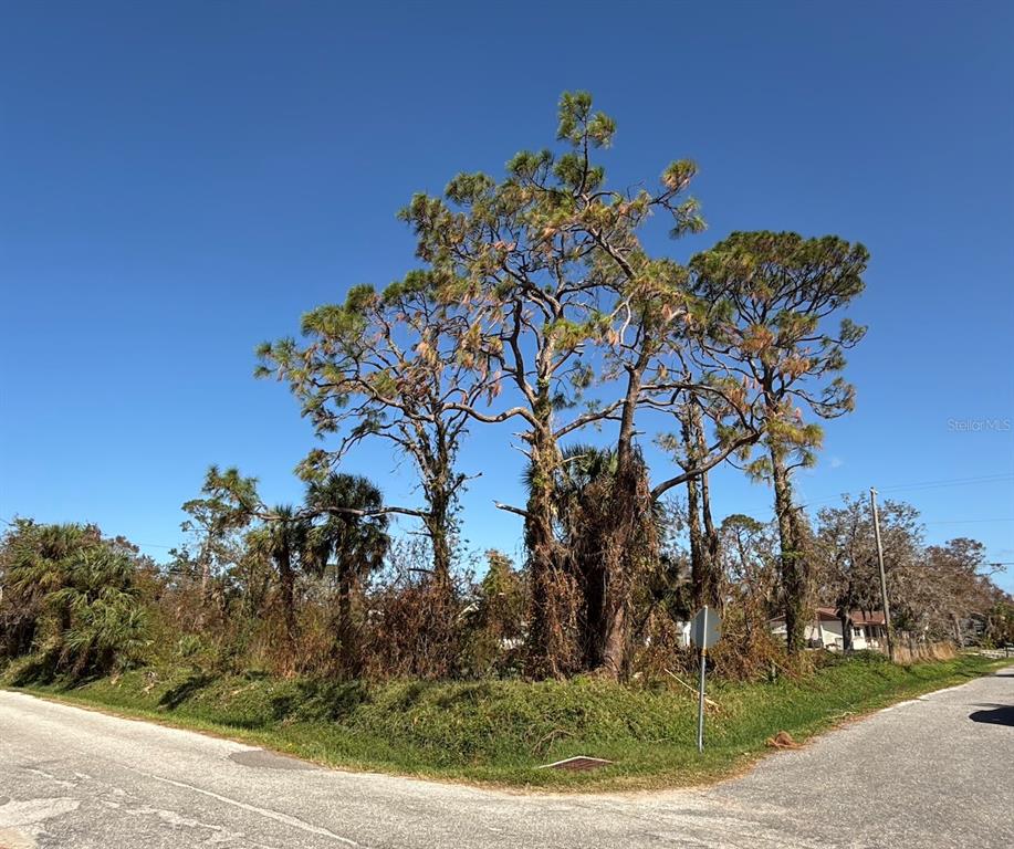 SOUTH VENICE - фото