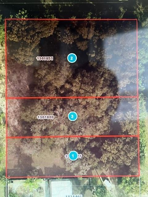 MOUNT PLYMOUTH - фото