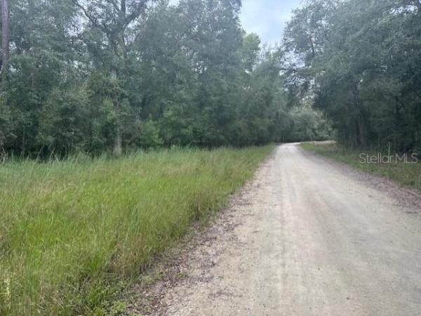 HATCH BEND UPON SUWANNEE
