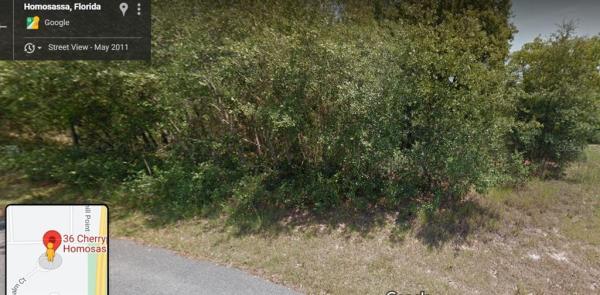 SUGARMILL WOODS CYPRESS VILLAGE