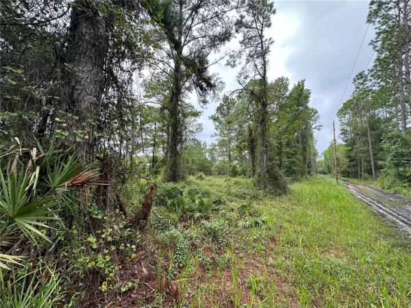 MILL CREEK CAMPSITES #6