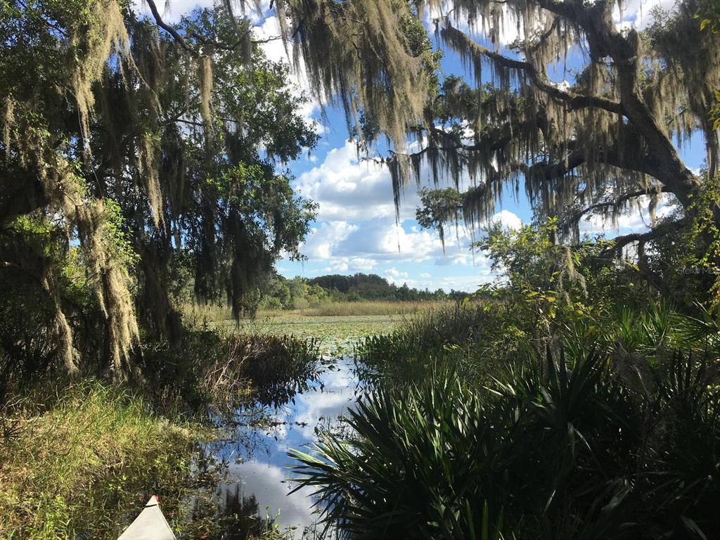 Land - фотография Land - фото