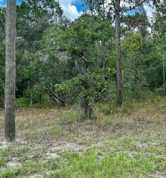 SUGARMILL WOODS CYPRESS VILLAGE