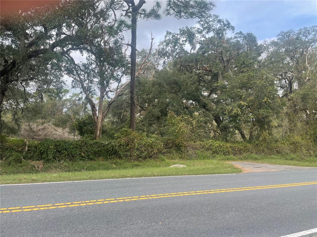 SUMTER FARMS EDWARDS FLORIDA L - фото