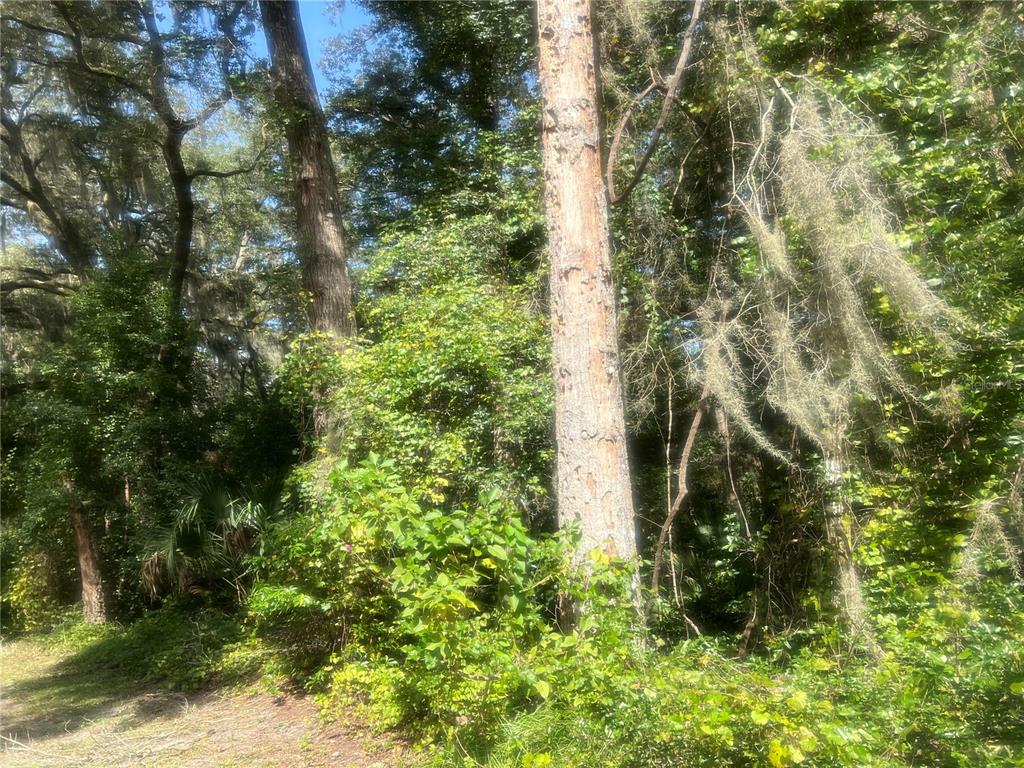 PONCE DE LEON SPGS TERRACE - фото