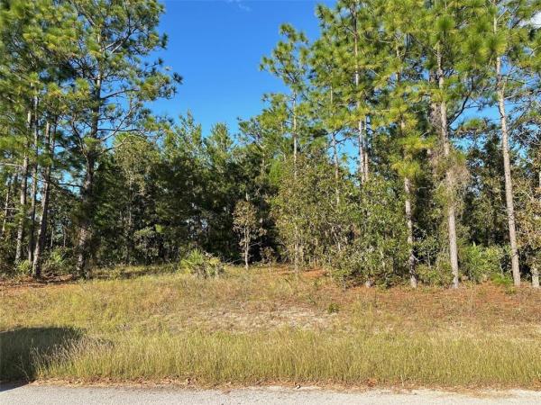 SUGARMILL WOODS OAK VILLAGE