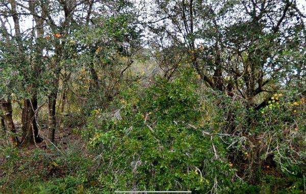 PORT CHARLOTTE SUB 14 REP