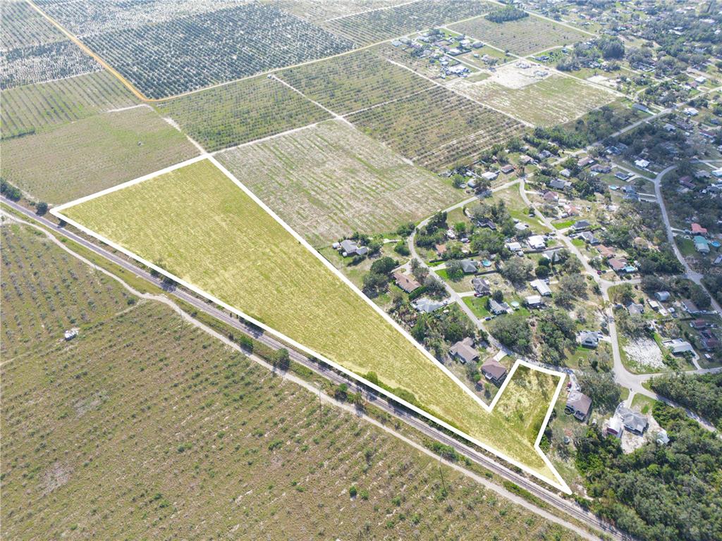 REEDY GROVE - фото