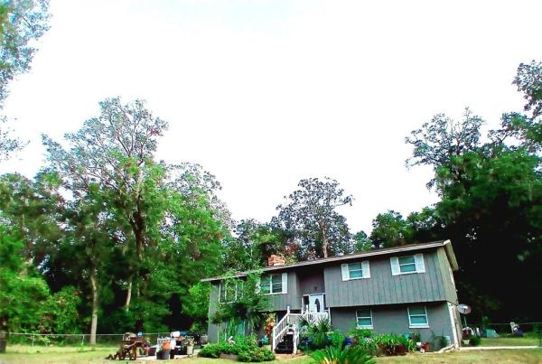 SUWANNEE RIVER SPRINGS