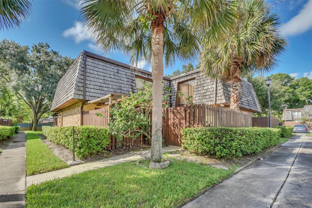 WINTER GREEN - фото