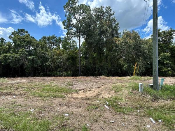 POINCIANA NBRHD 06 VILLAGE 07