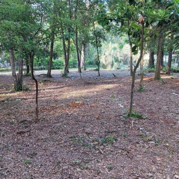 BIG TREE CAMPSITES SEC B