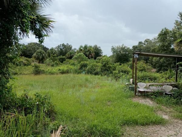 SOUTHERN COLONIZATION CO