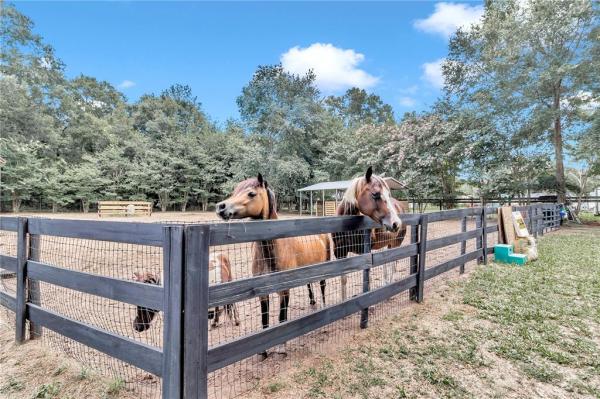 OCALA THOROUGHBRED ACRES