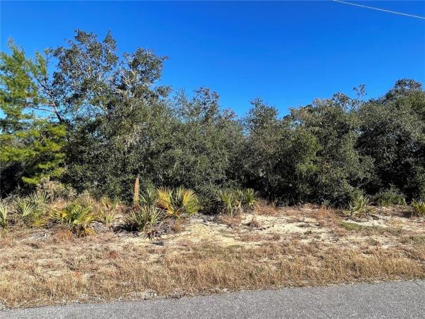 SILVER SPRINGS SHORES UNIT 36