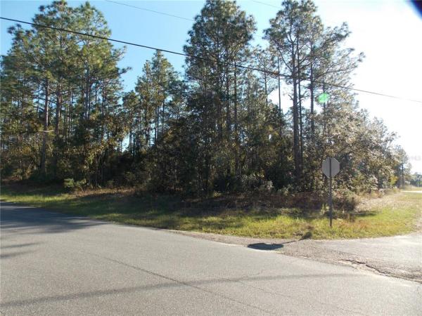 CITRUS SPRINGS UNIT 3