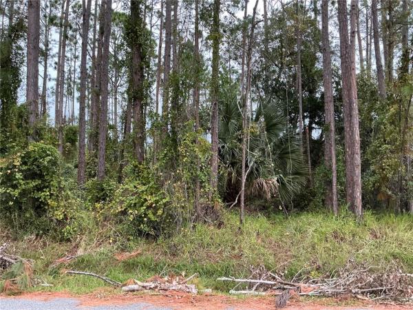 PALM COAST SECTION 34