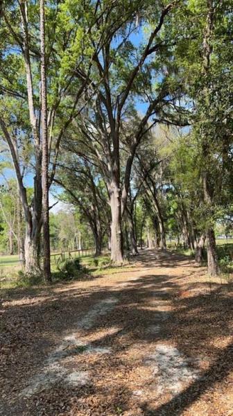 OLLEB FARMS AG LOT SPLIT