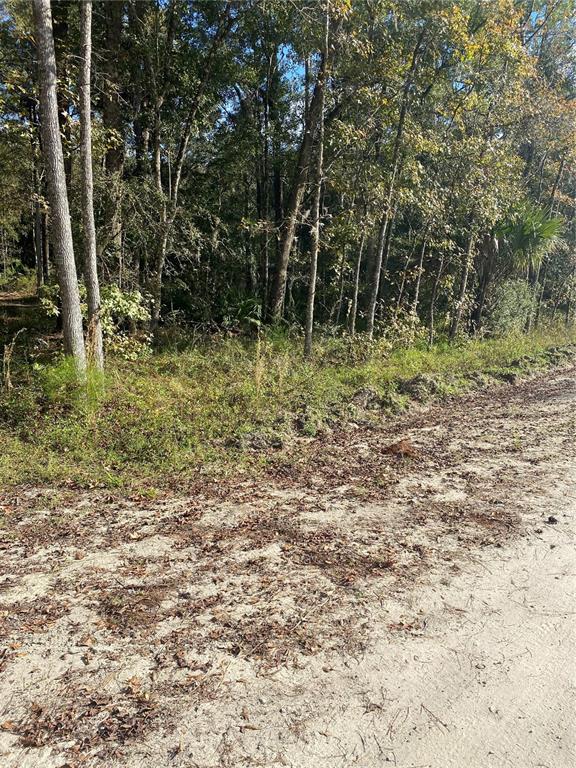 FLEMINGTON RANCHES - фото