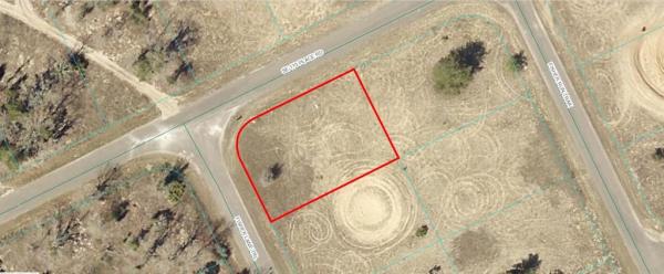 SILVER SPRINGS SHORES