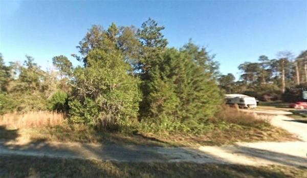 OCALA NATIONAL FOREST CAMPSITES