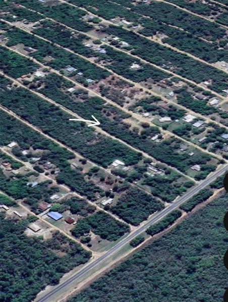 OCALA NATIONAL FOREST CAMPSITES
