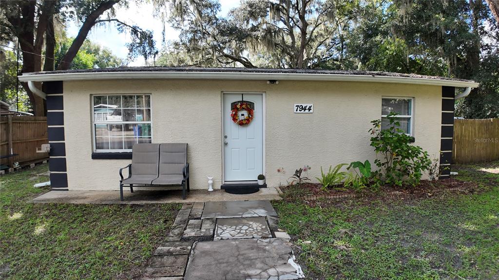 MOGGS ADD - фото