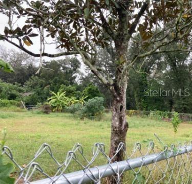 UNPLATTED - фото