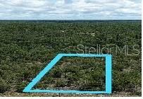 SUNNY HILLS UN 06