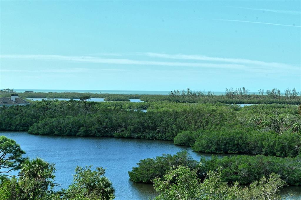 MERIDIAN AT THE OAKS PRESERVE - фото