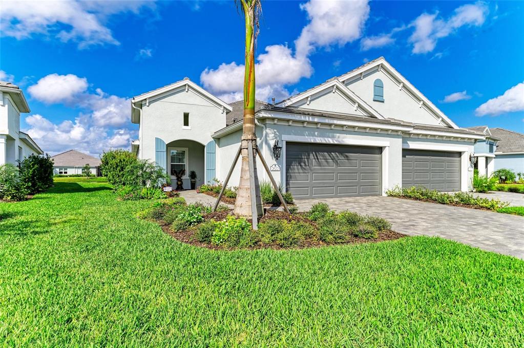 INDIGO PH VIII SUBPH 8A, 8B & 8C - фото