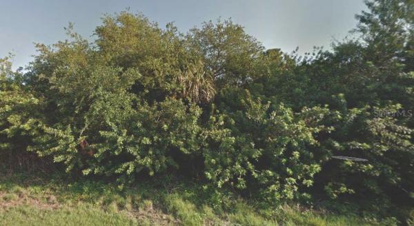 PORT CHARLOTTE SUB 46