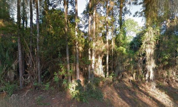 PORT CHARLOTTE SUB 25