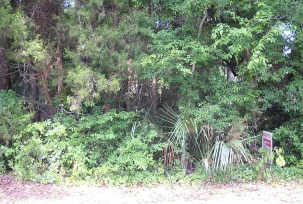 HOMOSASSA UNIT 01 AKA VILLA TERRACE UNIT 02