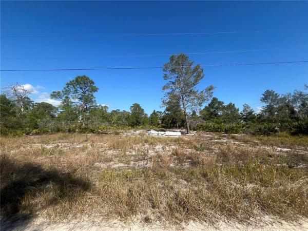 SEBRING HILLS
