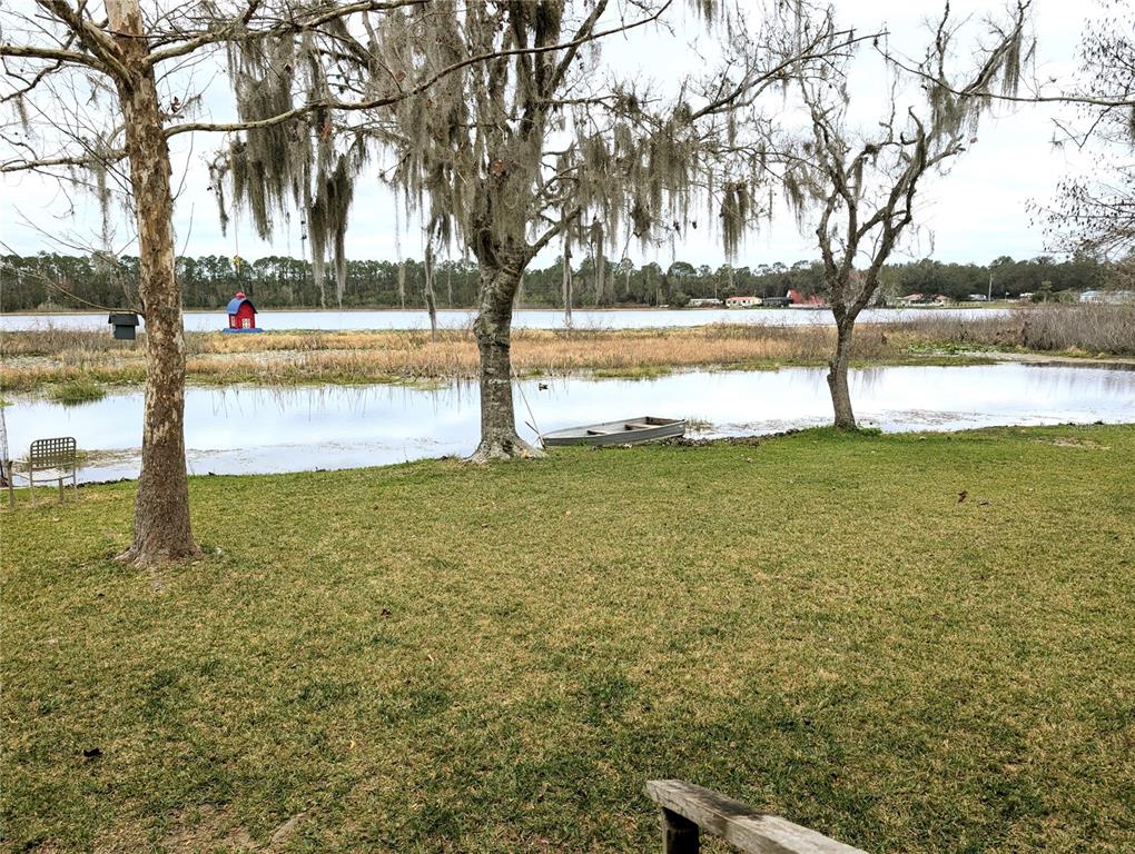 LAKE LYNNE - фото