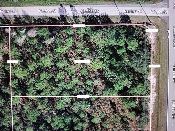 CAPE ORLANDO ESTATES