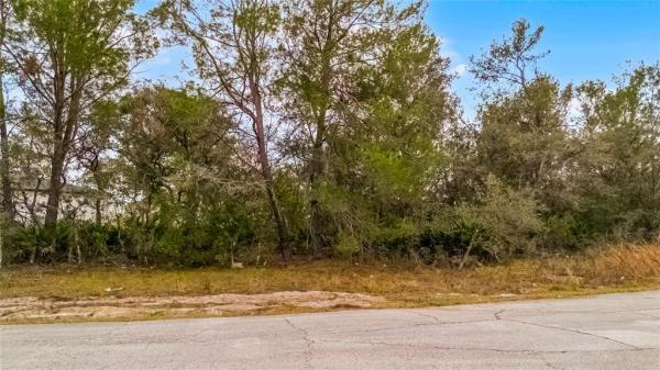 POINCIANA NBRHD 02 WEST VILLAGE 07