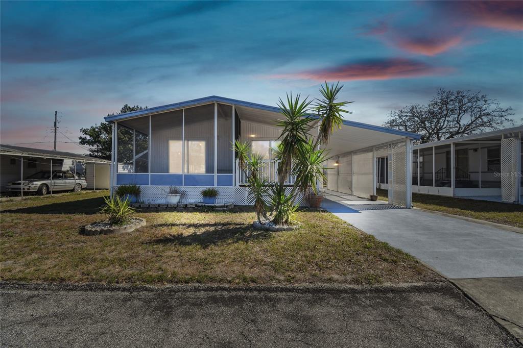 BUENA VISTA - фото