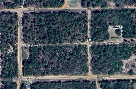 INTERLACHEN LAKES ESTATES