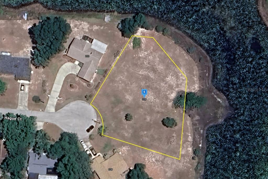 SPRING HILL - фото