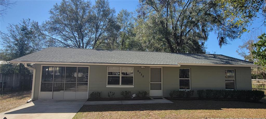 FERN MDWS - фотография FERN MDWS - фото