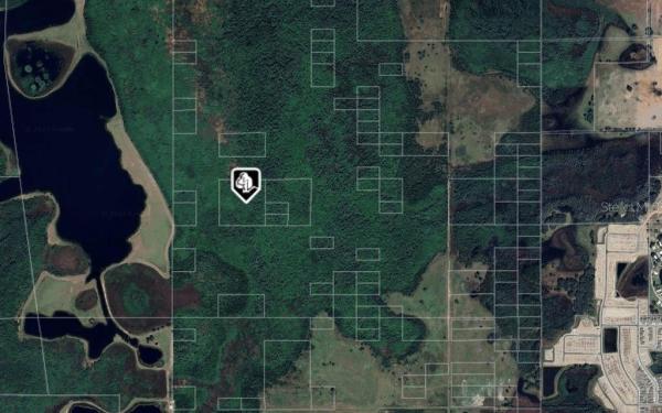 UNREC DEVON WOOD UN 12