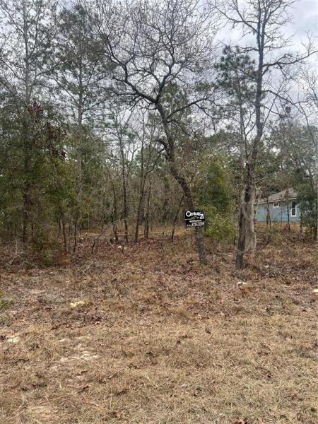 WILLISTON HYLNDS GOLF & C CLUB ESTATE