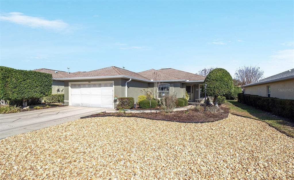 ON TOP OF THE WORLD - фото