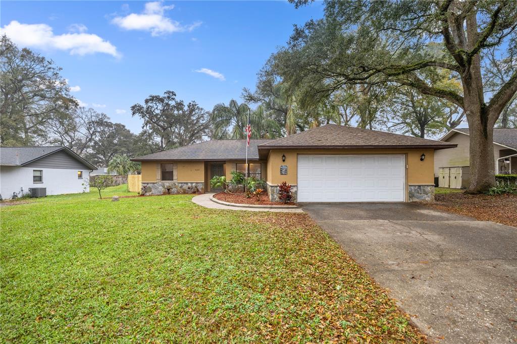 BLUEFIELDS - фото