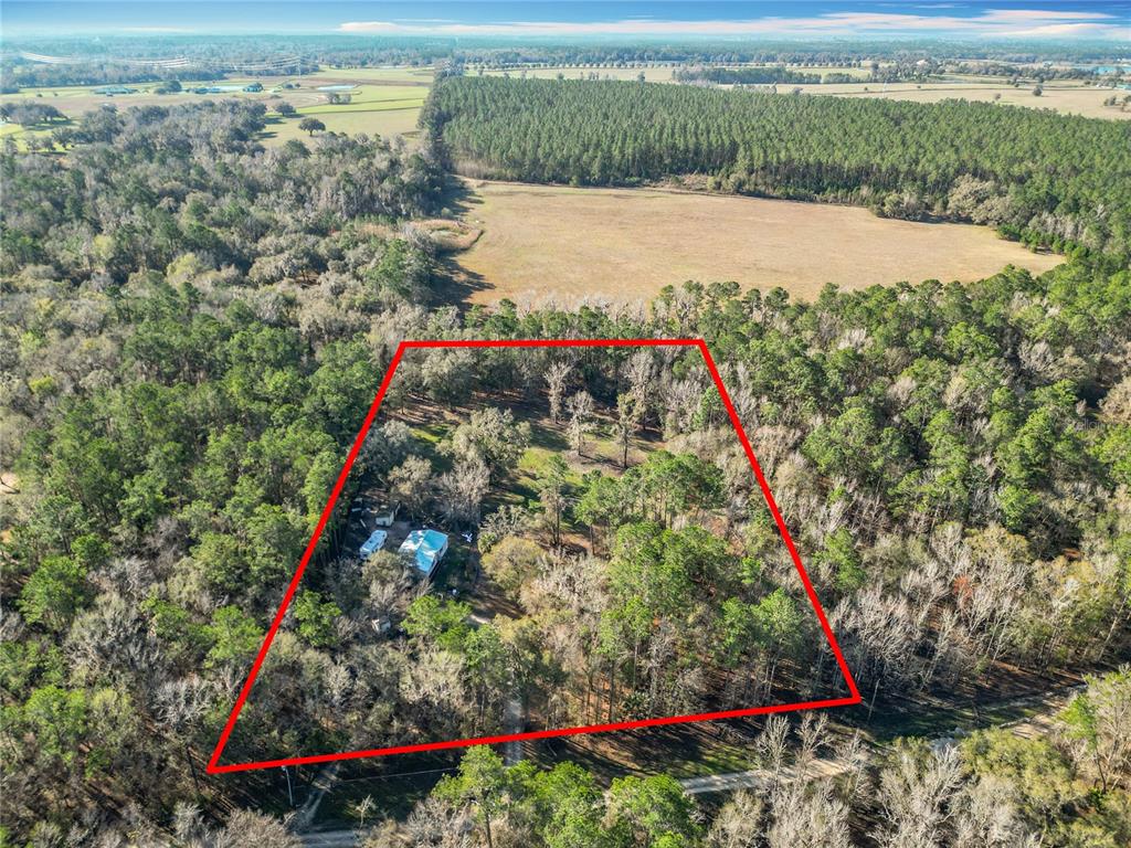 WOODLAND GLEN - фото