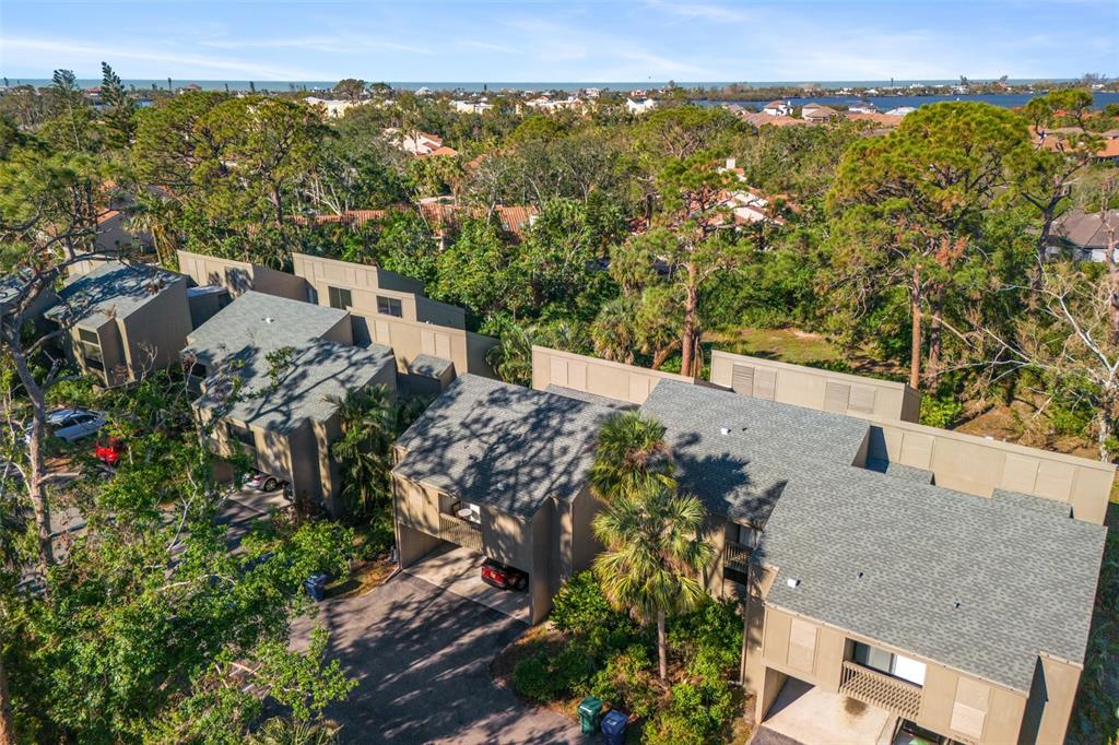 PINE RUN I - фото