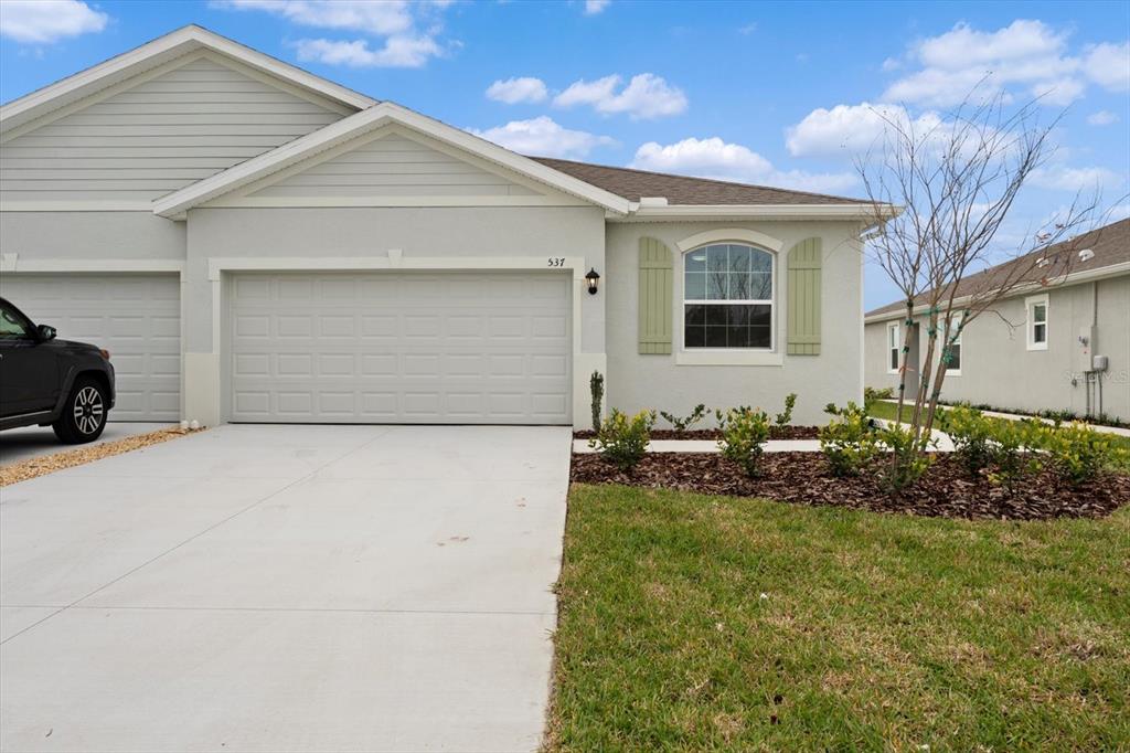 CODDINGTON - фото