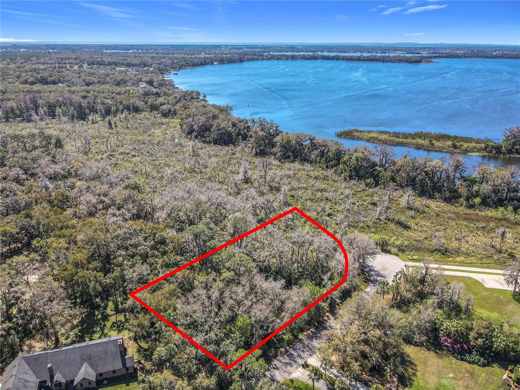 ELYSIUM CLUB - фото